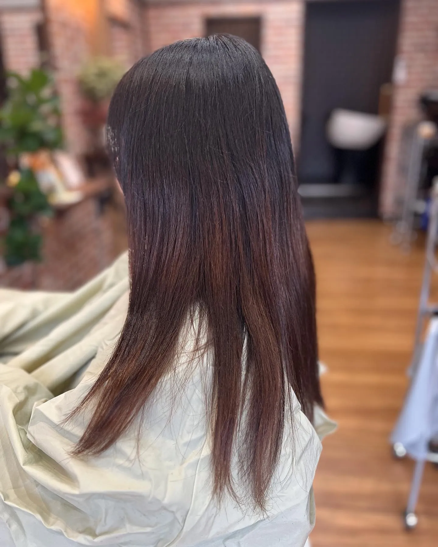 バッサリカット💇