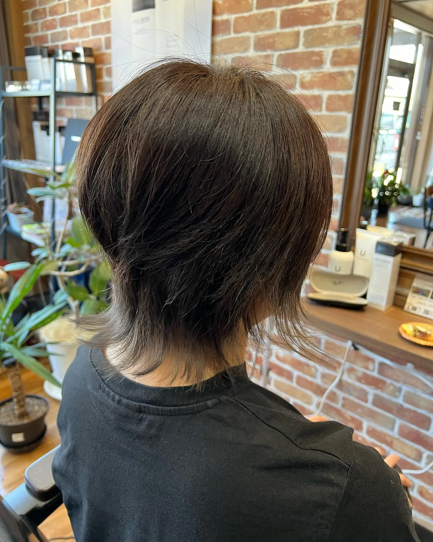 ウルフヘアーのご紹介です♪